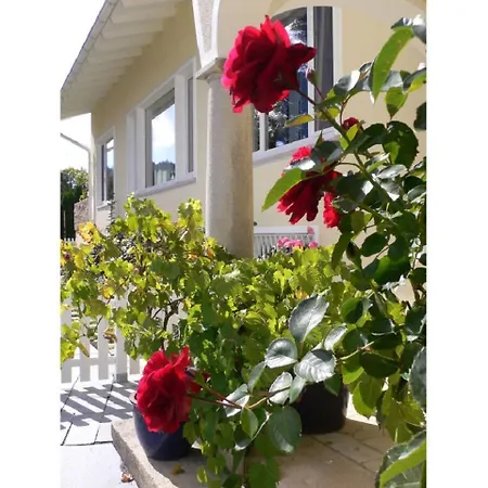 Apartman Allgaeuvilla *
