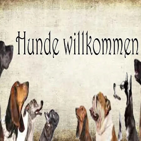 Apartamento Allgaeuvilla